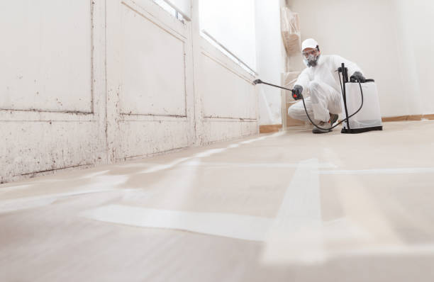 24/7 Emergency Black Mold Remediation experts in Plant City, FL